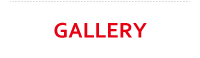 top_main_gallery.png