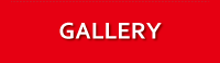 top_main_gallery.png